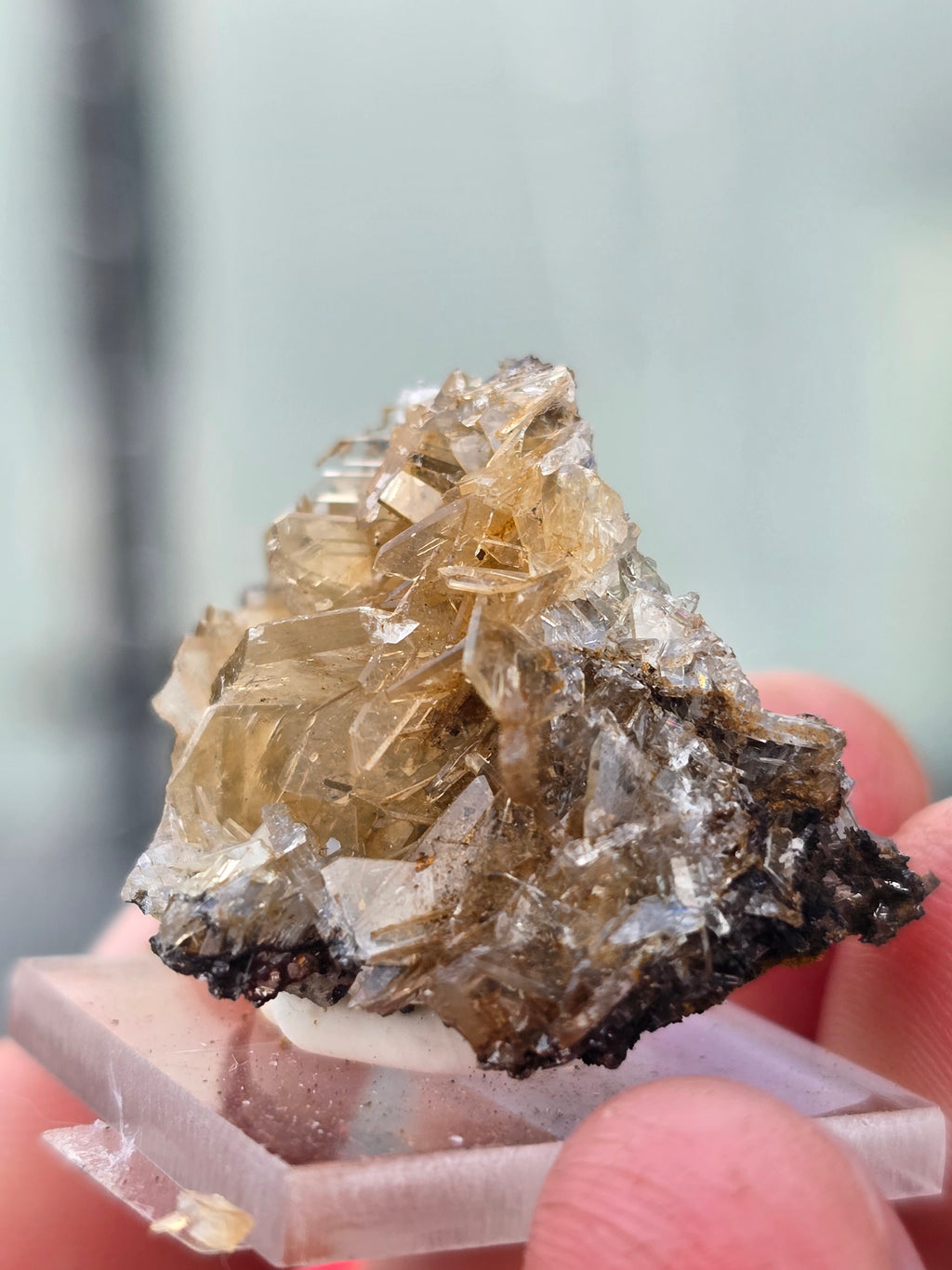 Golden barite