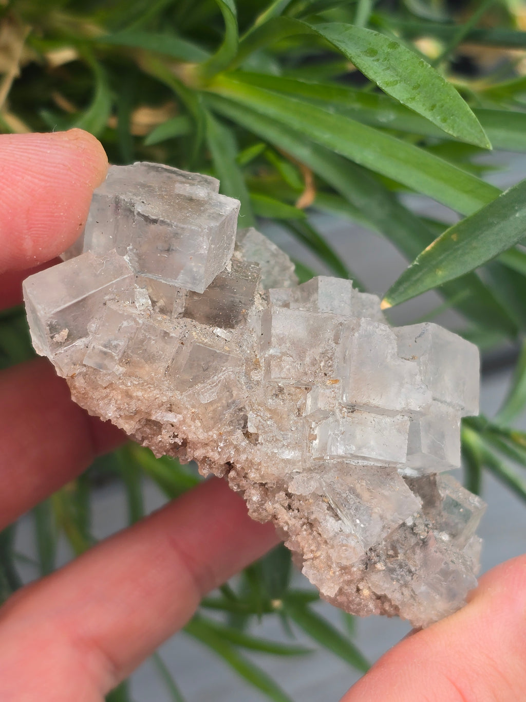 Halite
