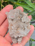 Halite