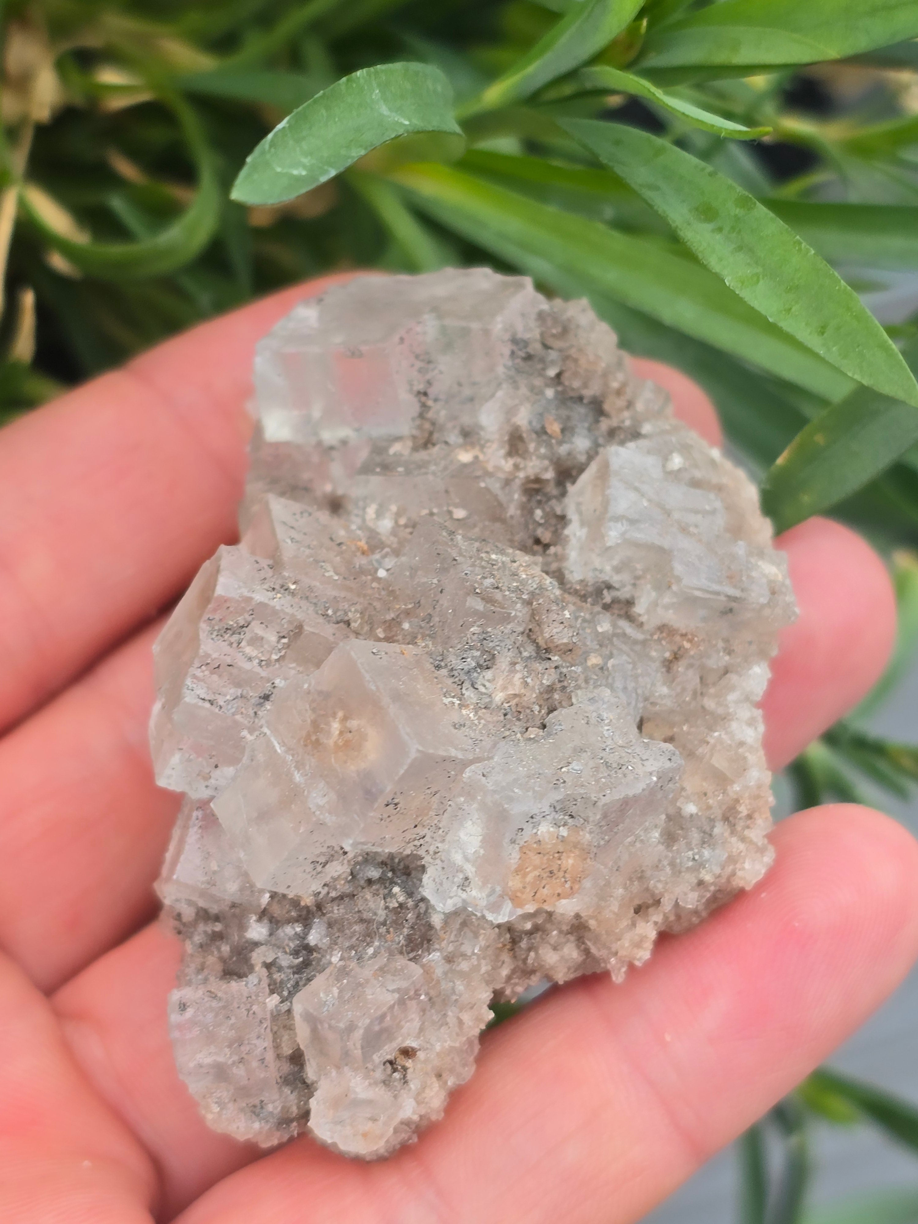 Halite