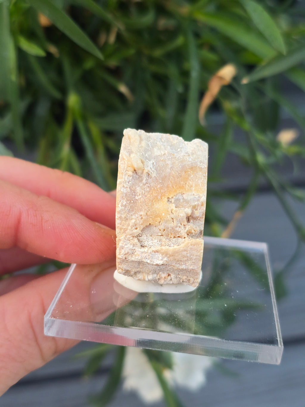 Aragonite