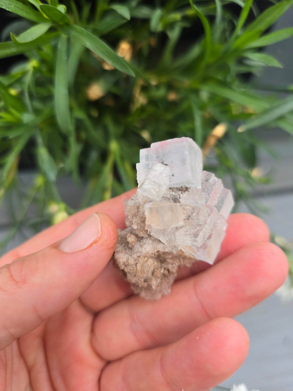 Halite