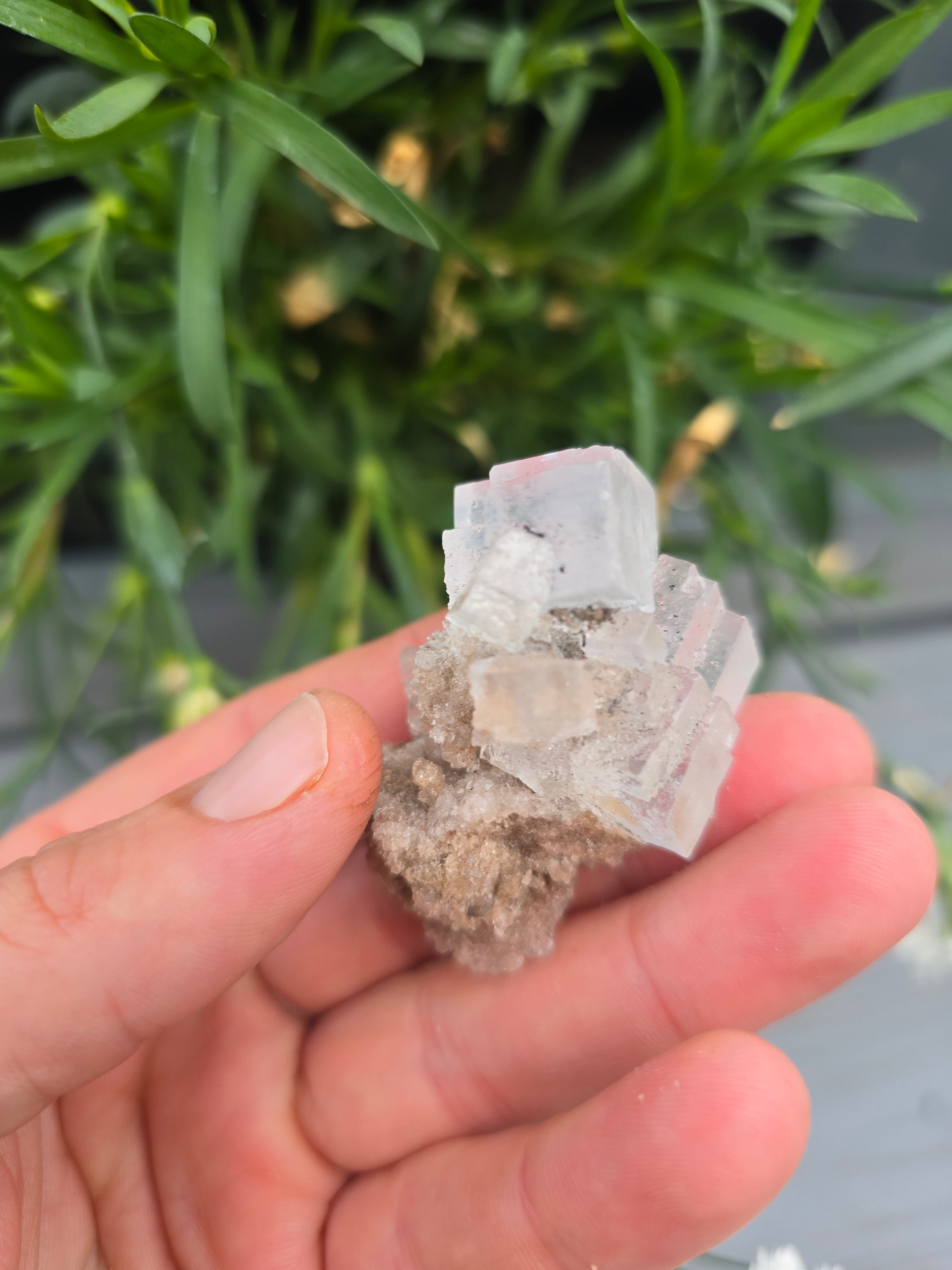 Halite