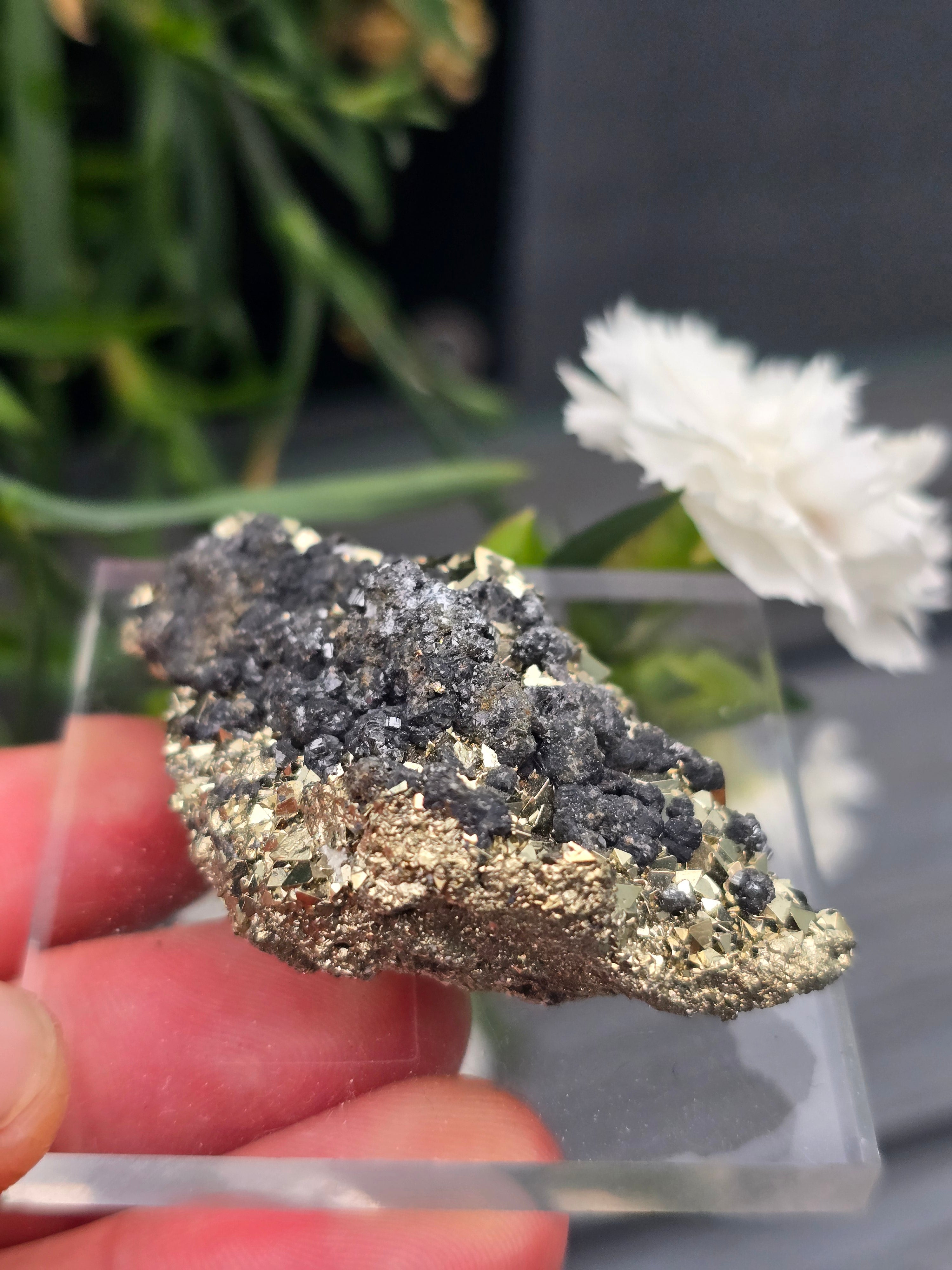 Pyrite