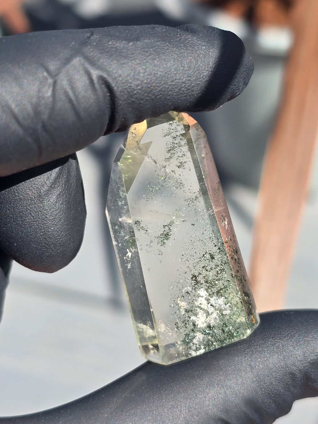 Lodalite and chlorite