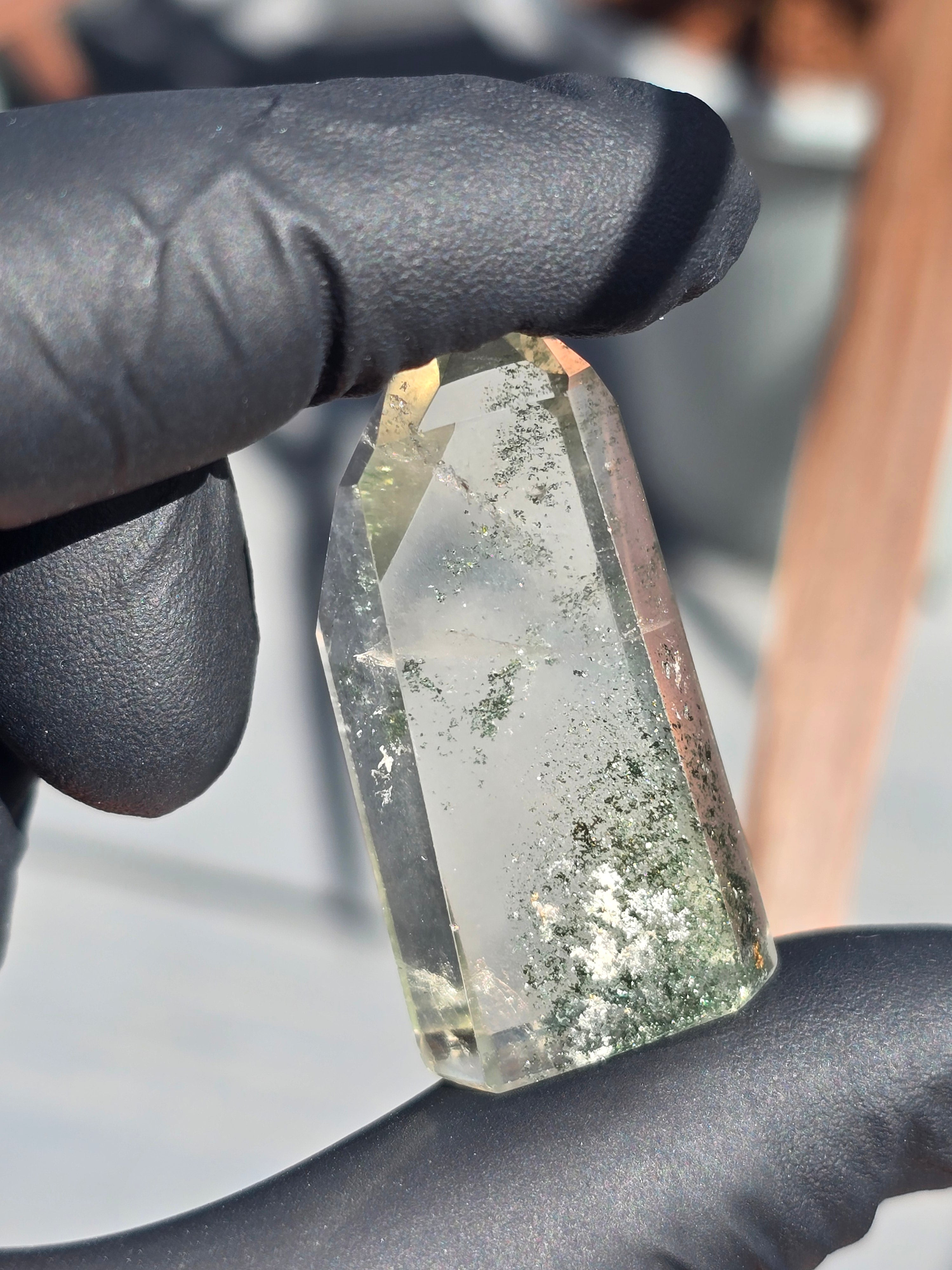 Lodalite and chlorite
