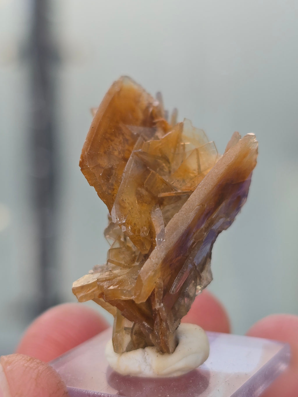 Golden barite