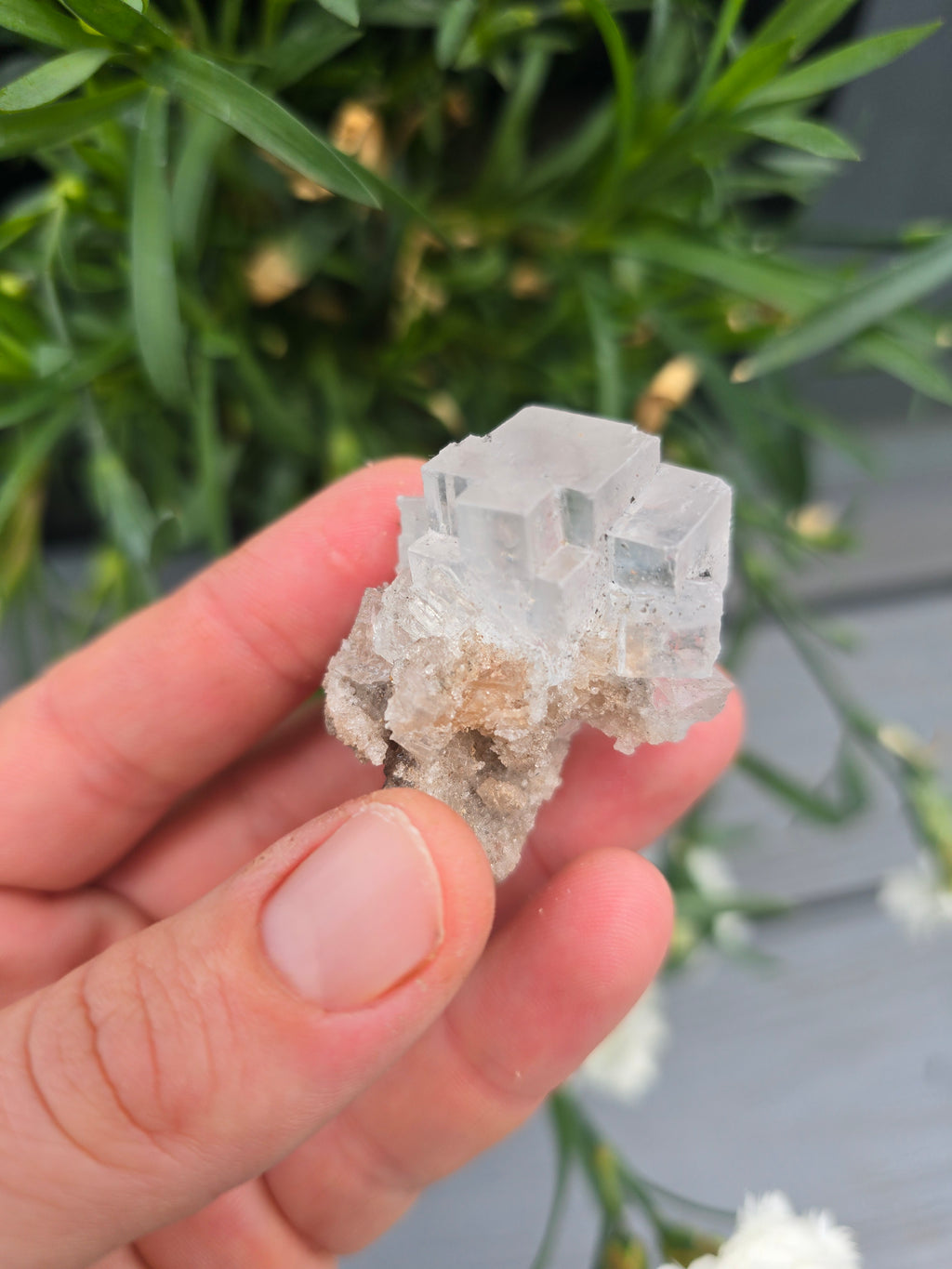 Halite