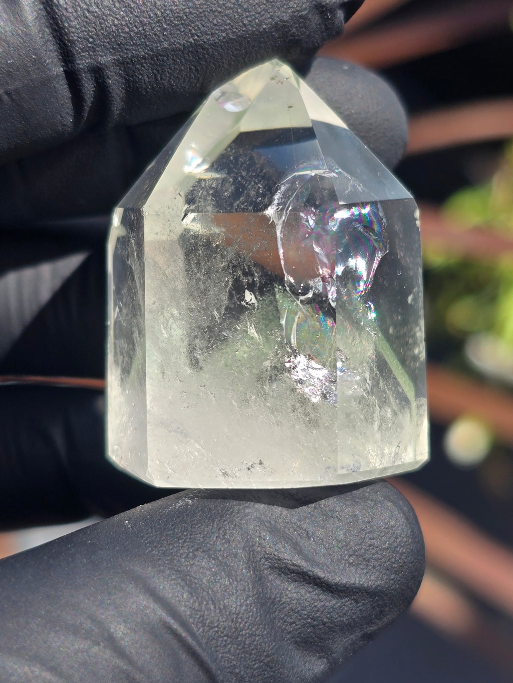 Lodalite and chlorite