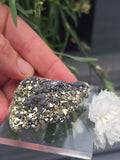 Pyrite