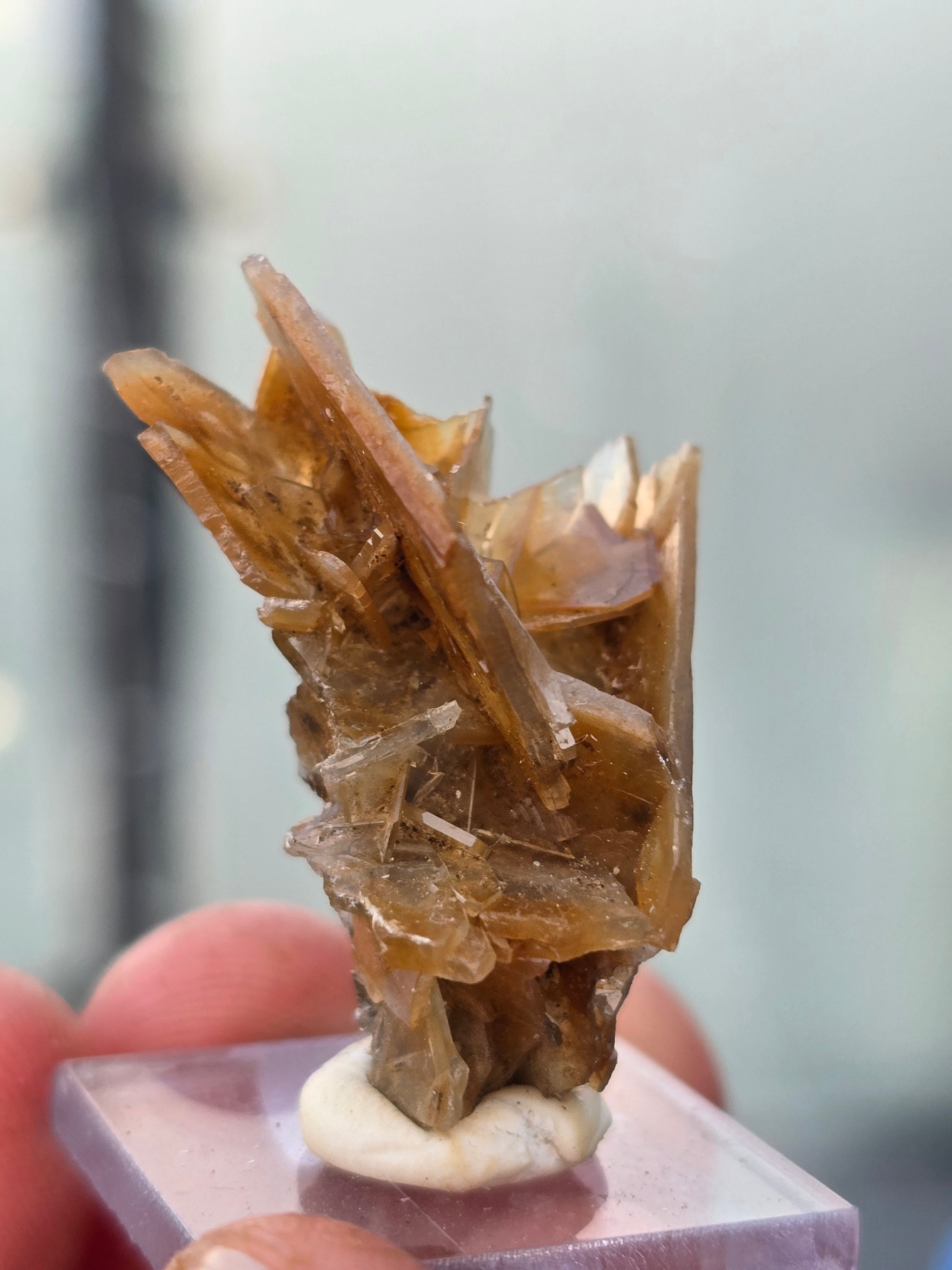 Golden barite