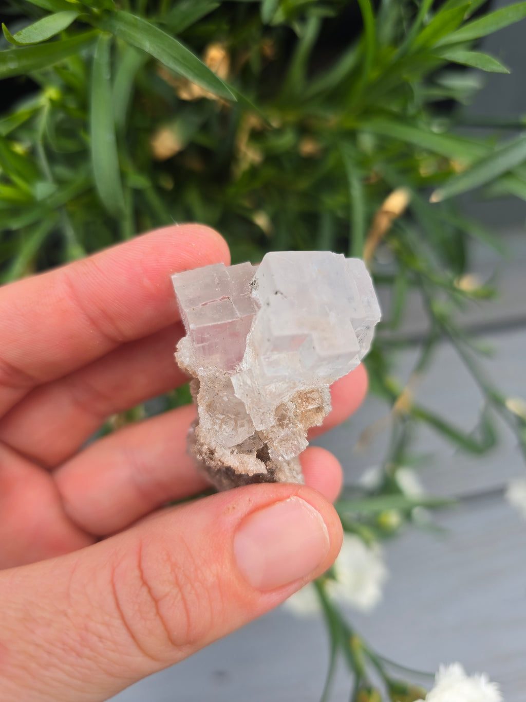 Halite