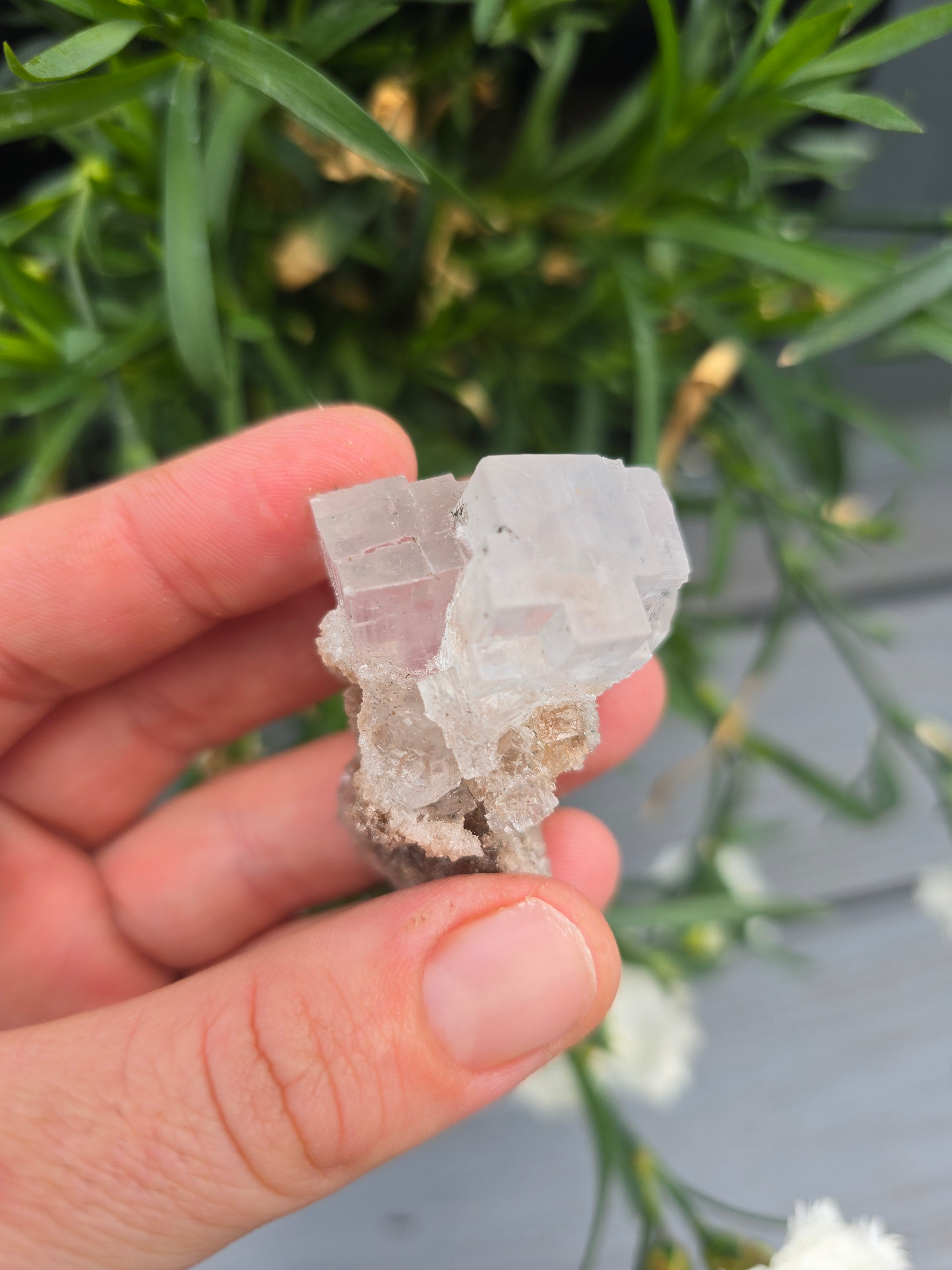 Halite