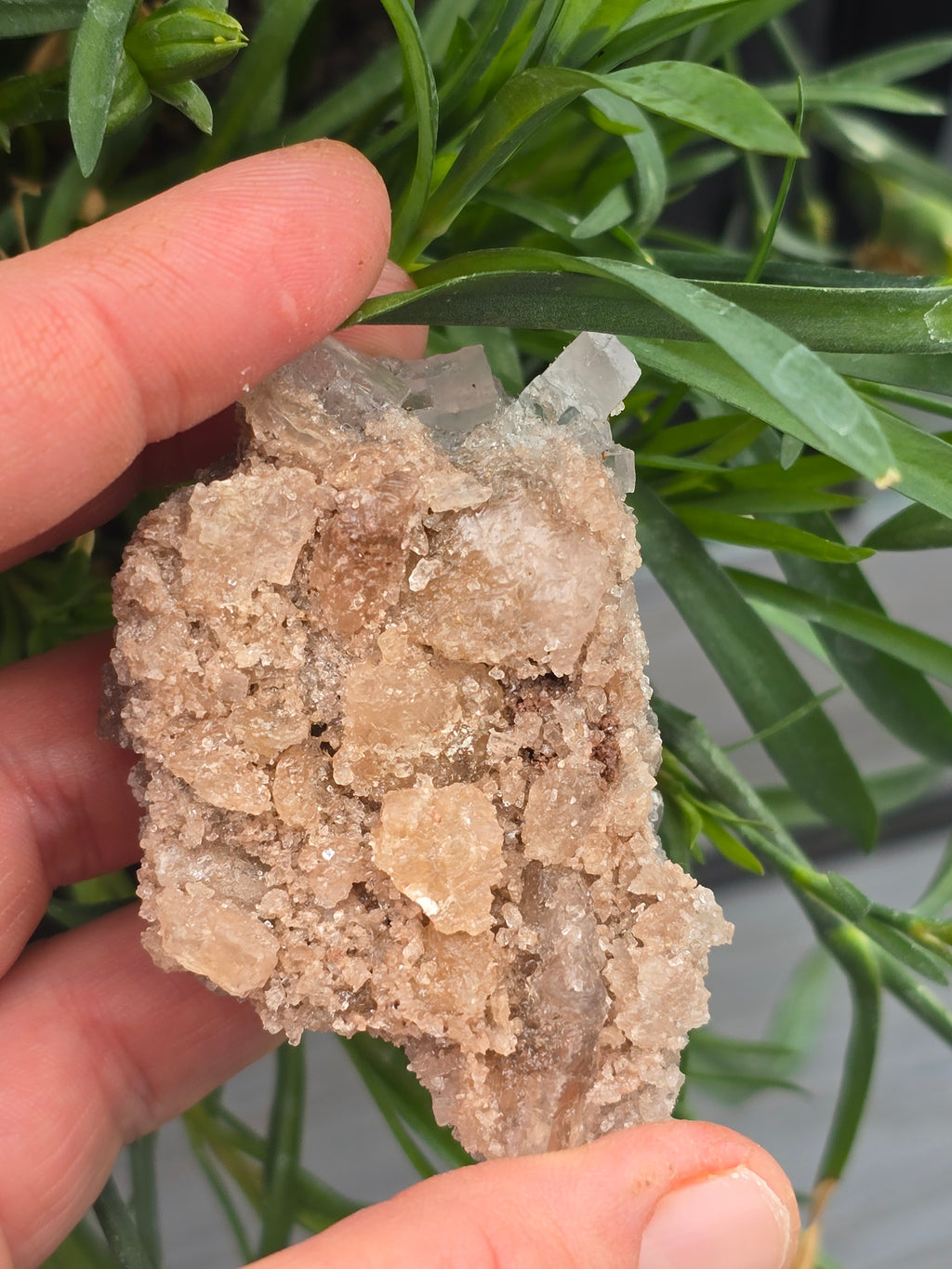 Halite