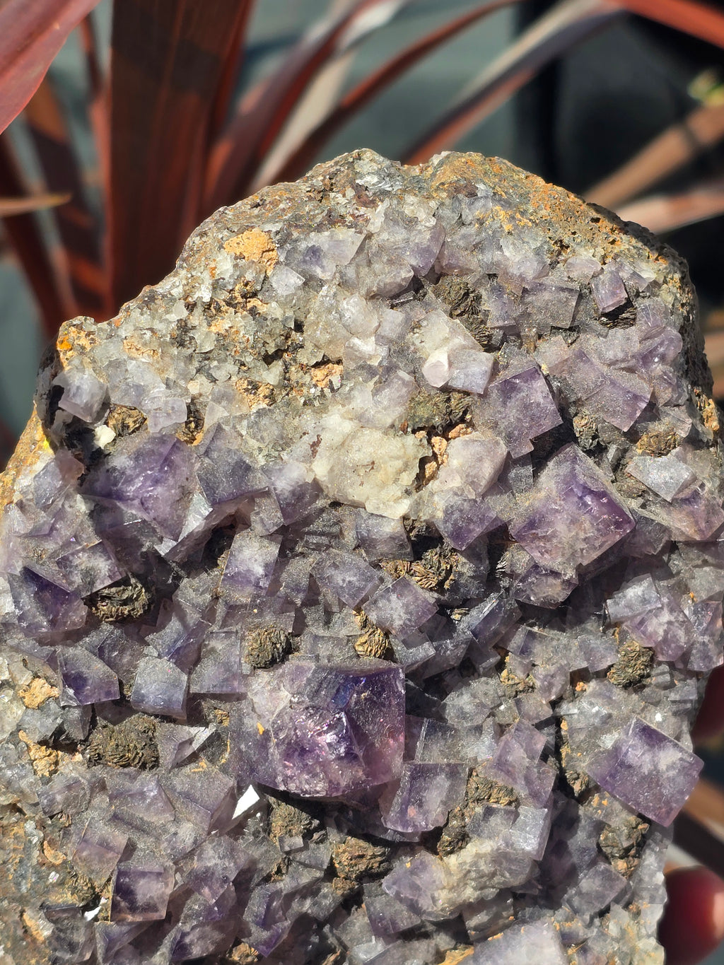 Flourite