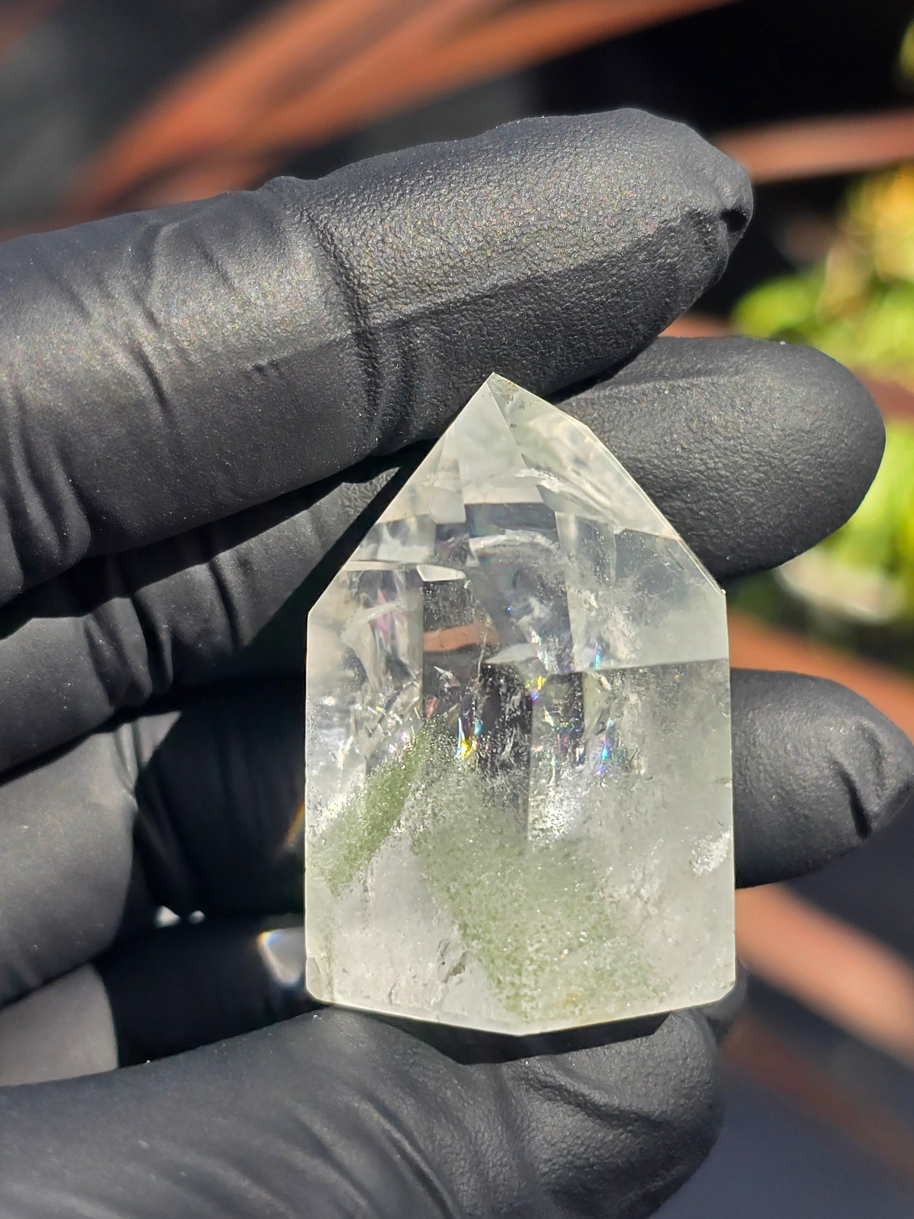 Lodalite and chlorite