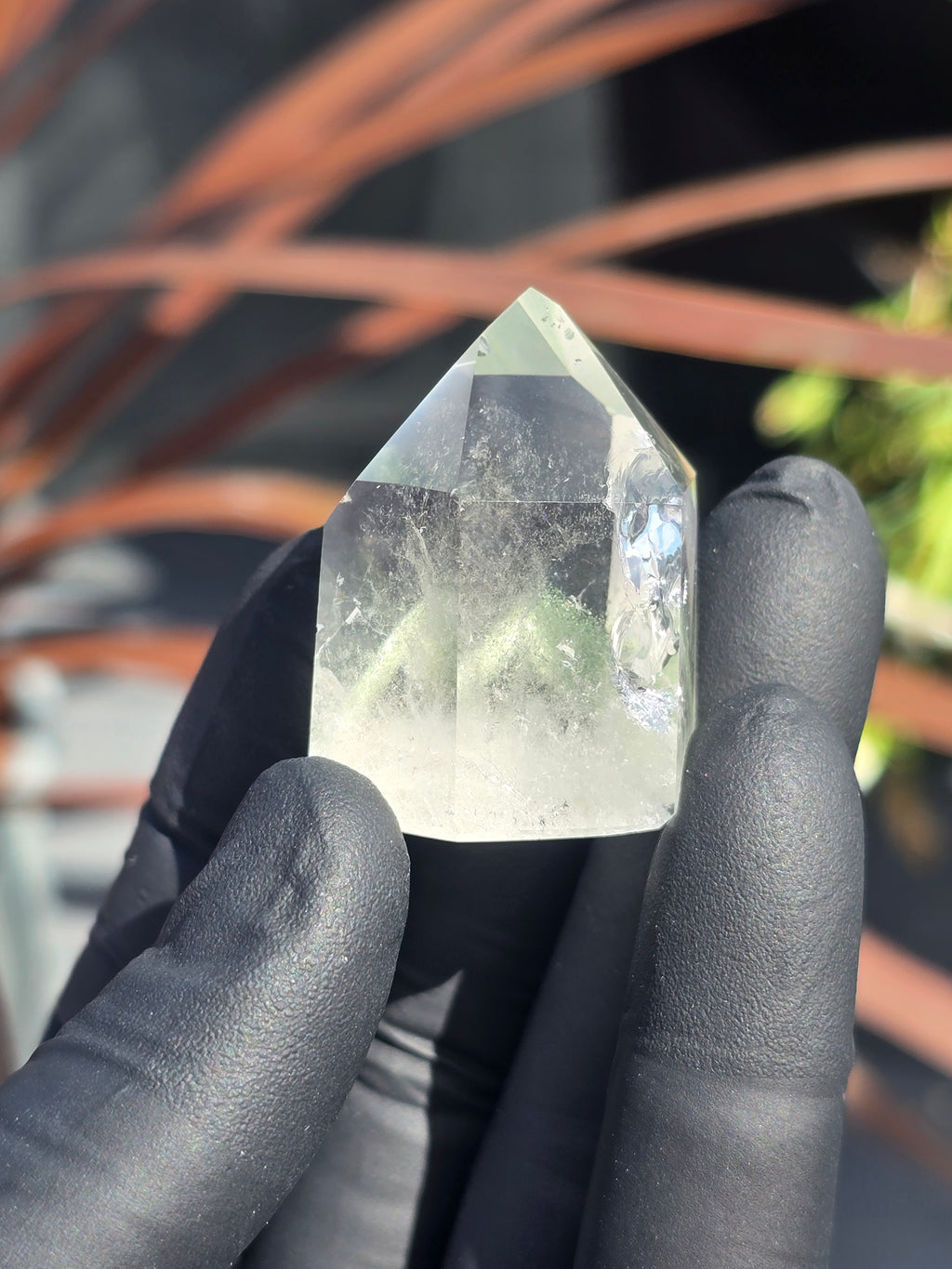 Lodalite and chlorite
