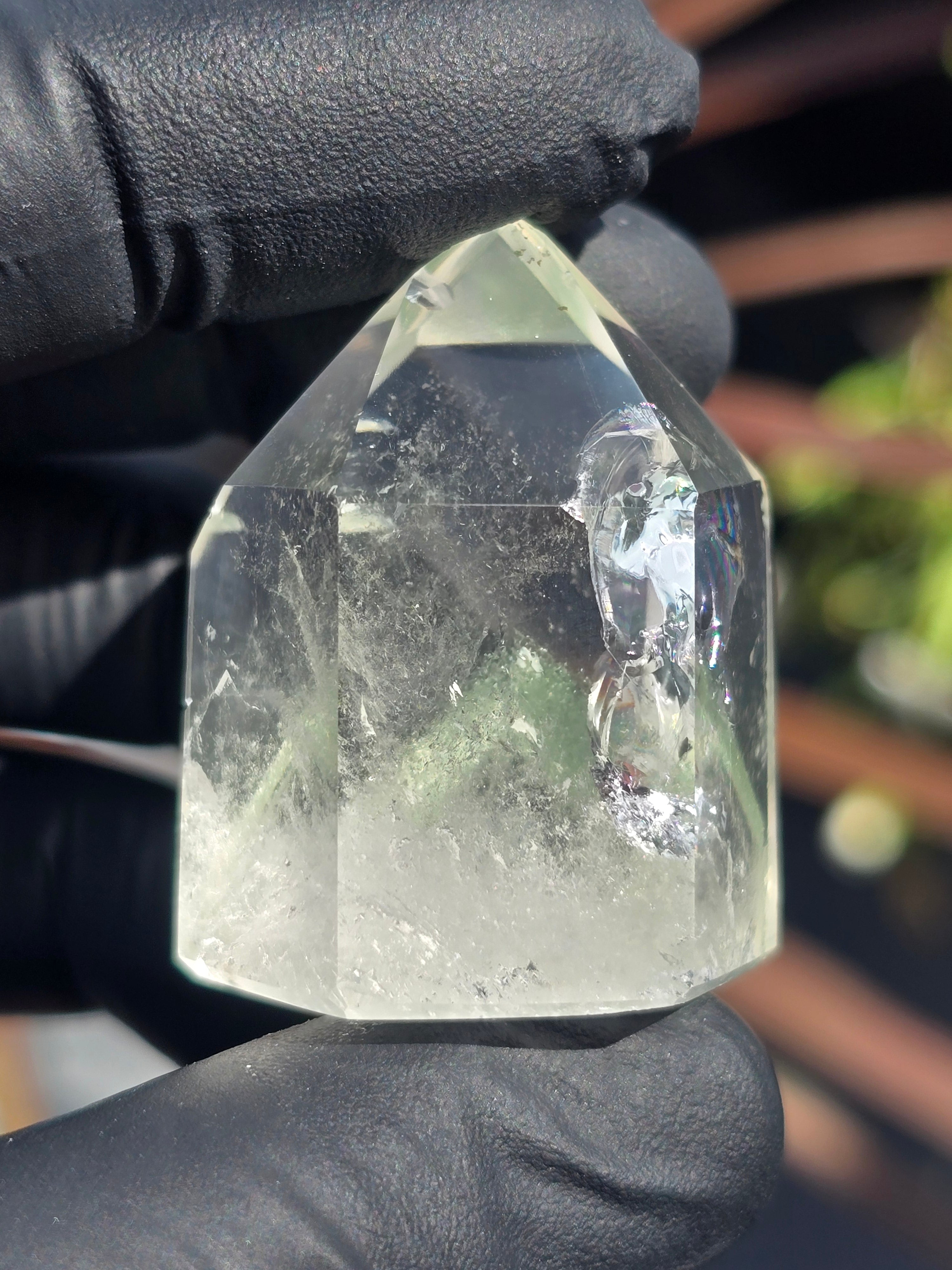 Lodalite and chlorite