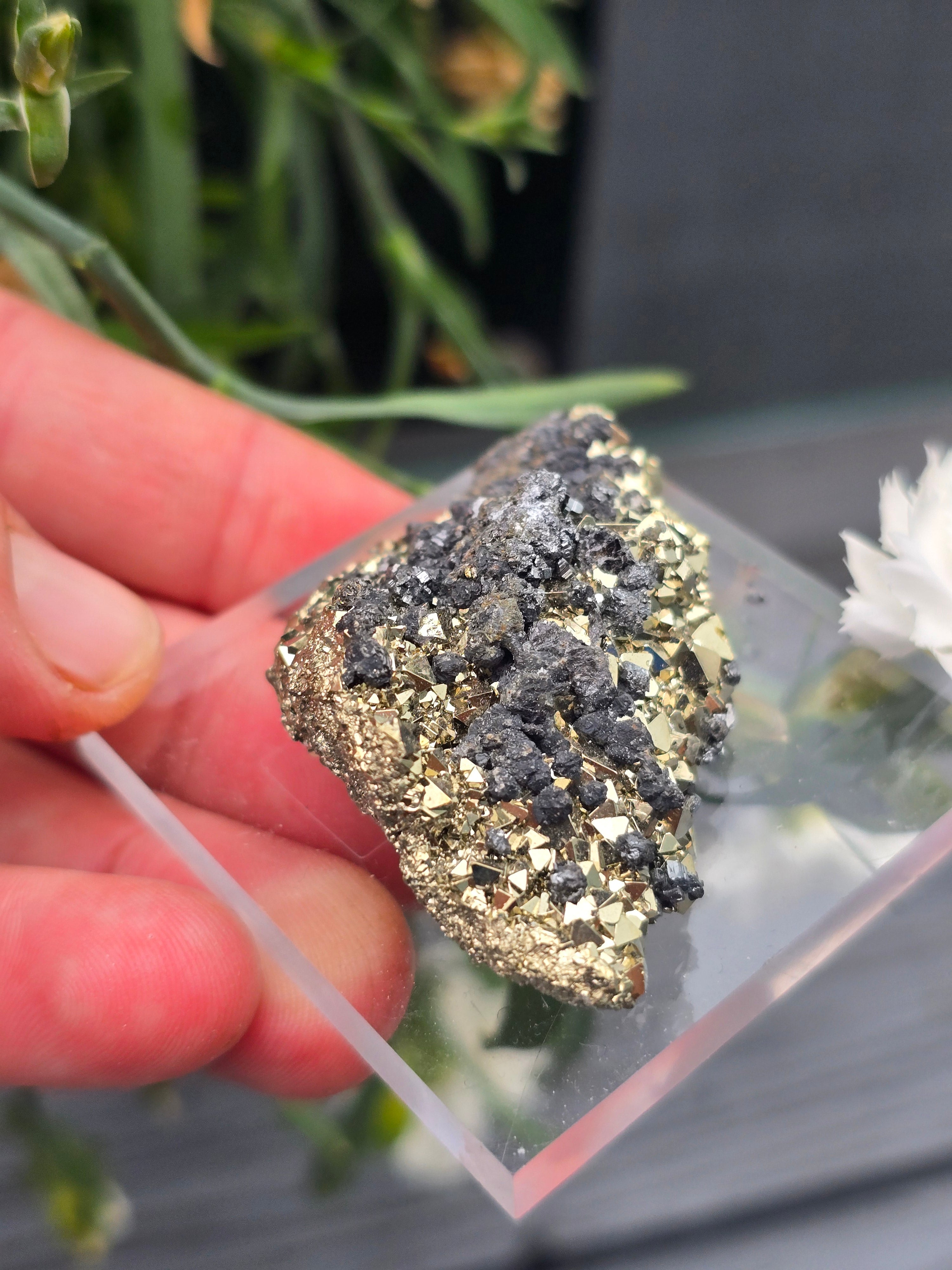 Pyrite