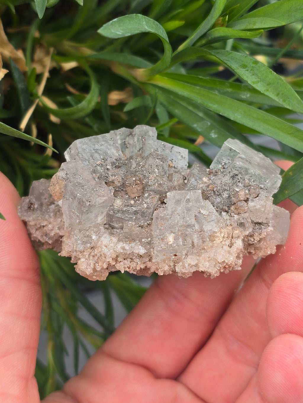 Halite